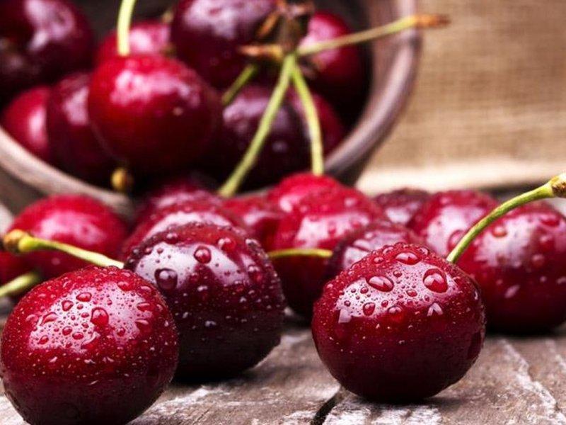 Вишня купить саженцы из питомника в Стерлитамаке